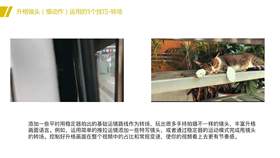 转场插件的安装