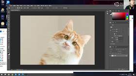 1.2 PS软件基础01