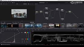 1.3 舍得酒调色案例06