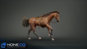 三维马动画测试