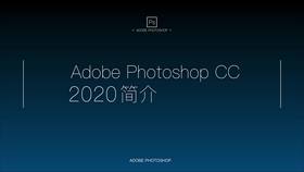 PS2020初识