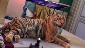 电影中的动物特效解析