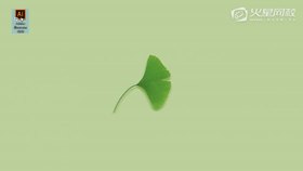 2-1 认识软件界面-菜单栏