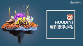 触角的材质