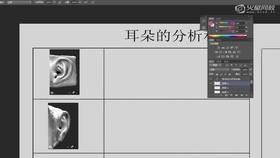 耳朵光影解析(1)
