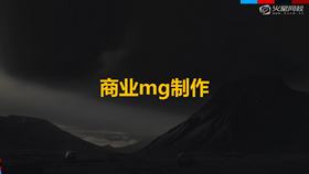 综合案例实训01