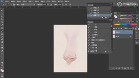 眼睛与鼻子体积分析(鼻子示范)4