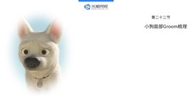 dog毛发IV