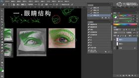 眼睛与鼻子体积分析(理论知识)2