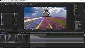 与Audition配合使用