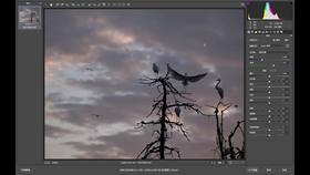 色彩的秘密(1)解决色彩灰暗的问题