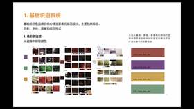 第9课第4节品牌视觉系统1