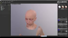 5.5 皮肤材质制作 03