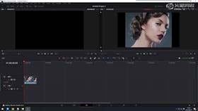 2.6 达芬奇插件应用