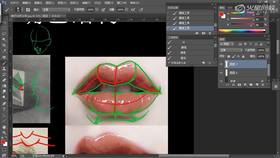 嘴巴耳朵体积分析(理论知识)3