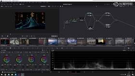 5.3 舍得酒调色案例03