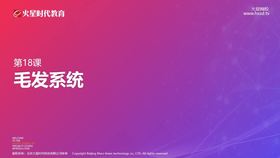 毛发系统