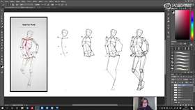 3.5 人体肌肉讲解 01