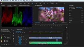6-2 使用比较视图快速调色