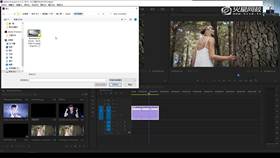 4.1 PR蒙版的运用 01