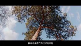 GoPro——超乎你想象的“6” (4K)