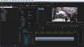 案例:马赛克效果应用方法