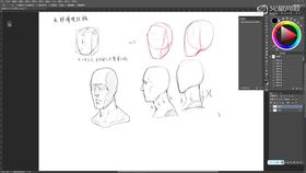 人物头像结构分析及表现(2)