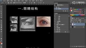 眼睛与鼻子体积分析(理论知识)1