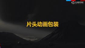 片头动画包装
