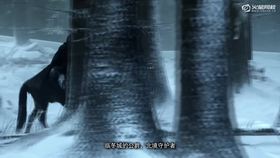 第一季官方预告